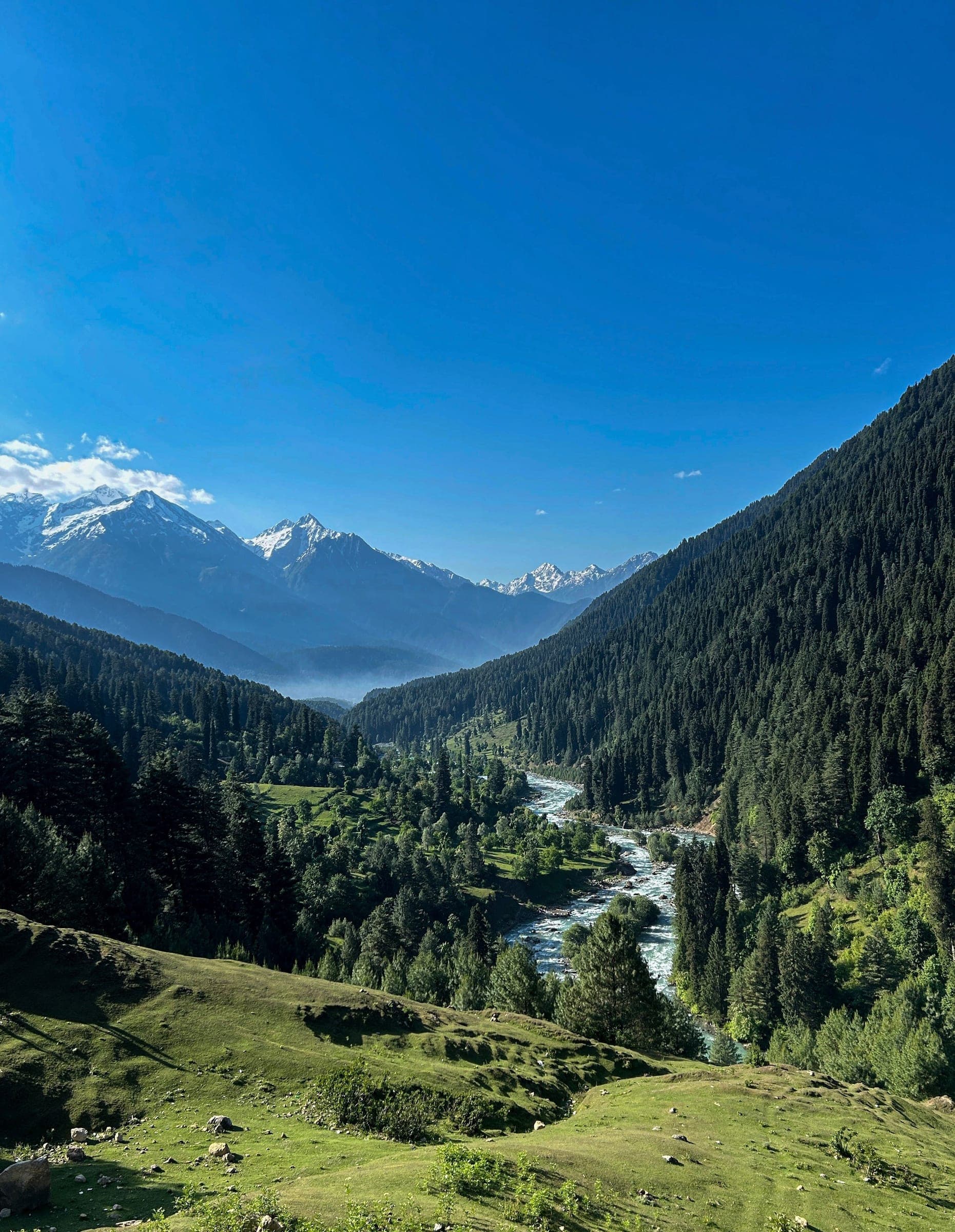 River valley with snow-capped Himalayan peaks near Pahalgam